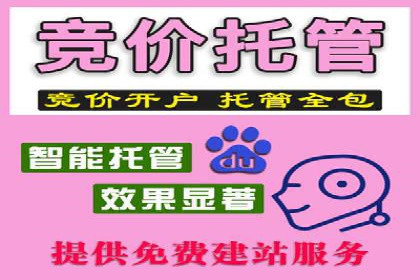 百度推广代运营案例：案例解析：精准定位用户需求